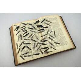 Sammlung alter Schreibfedern